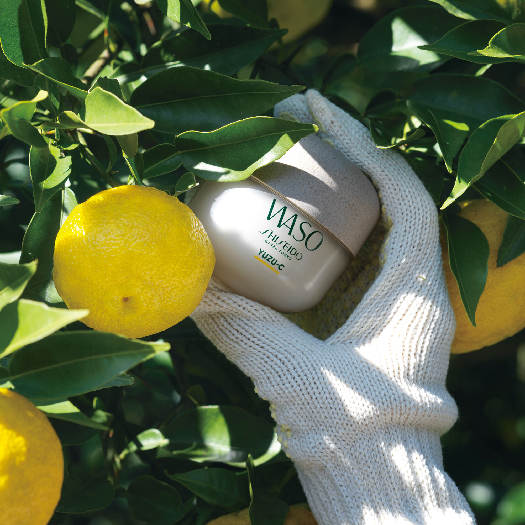 Display Product shot 5 of YUZU-C Beauty Sleeping Mask, 