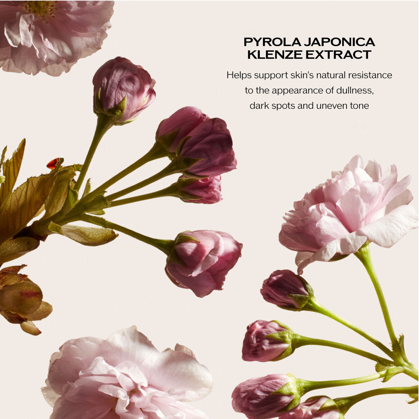 Display Product shot 4 of Brightening Gel Cream, 